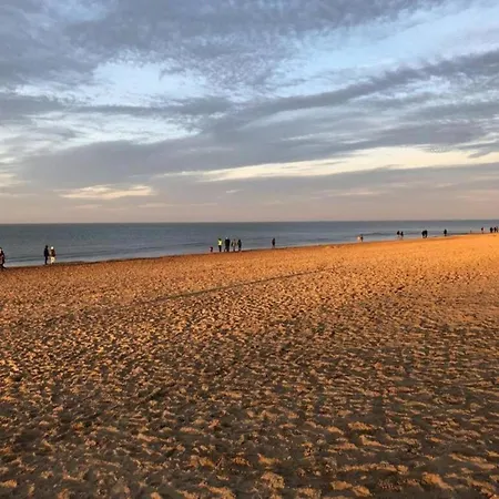 Lejlighed In Near The Sea Koksijde