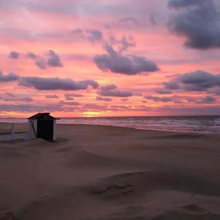In Near The Sea
