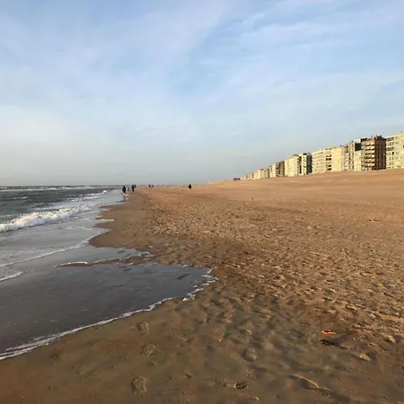 In Near The Sea