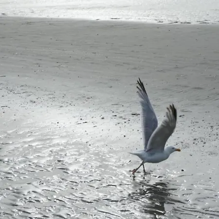 In Near The Sea Lejlighed