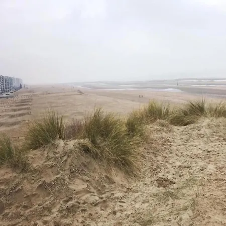 Lejlighed In Near The Sea Koksijde